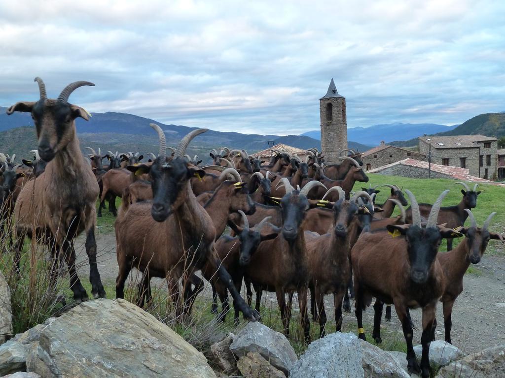 Casa Rural Calrei Lles Eksteriør billede
