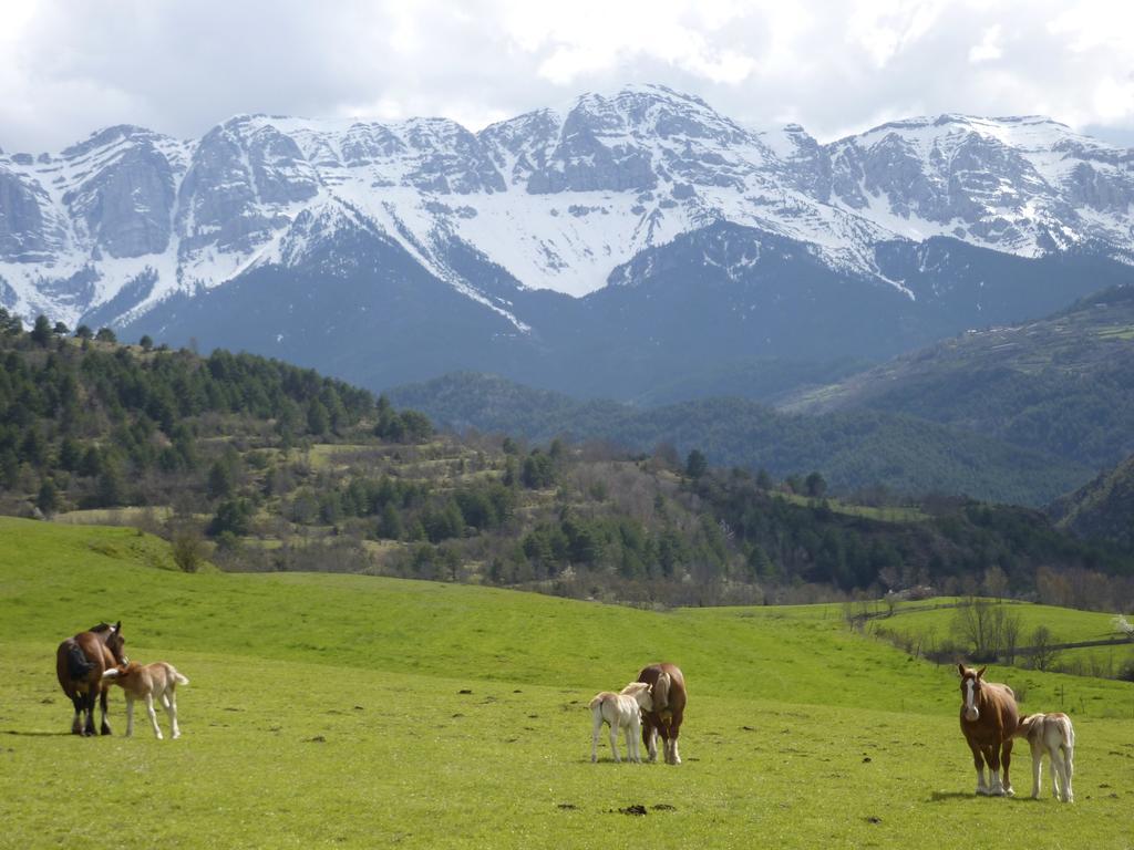 Casa Rural Calrei Lles Eksteriør billede
